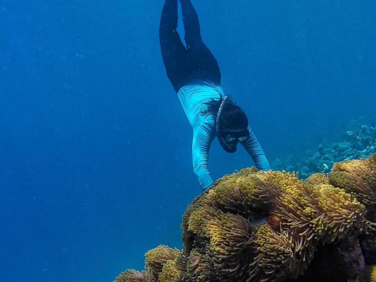 A freediver drifting over the coral on the reef