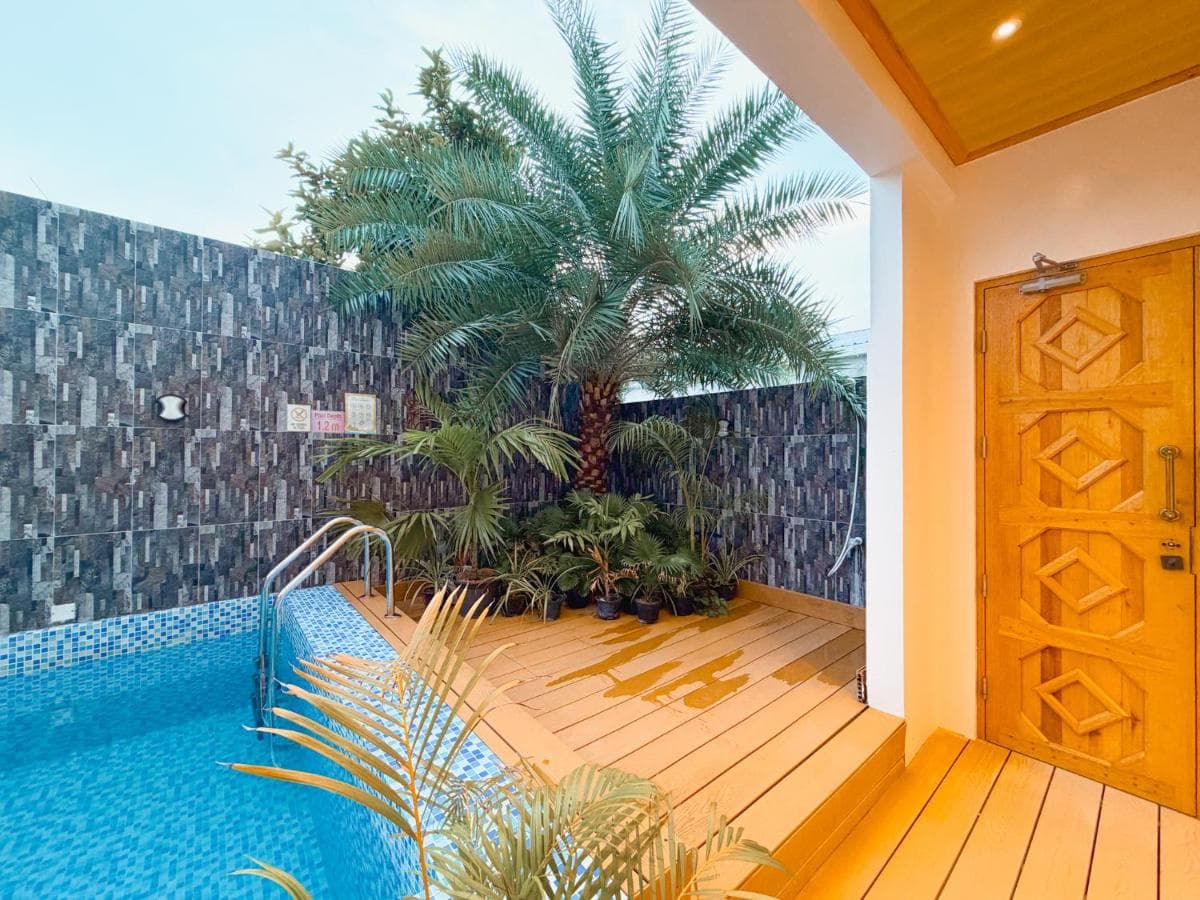 The guesthouse pool and sun deck under the palms